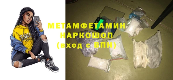прущие грибы Богданович