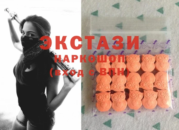 прущие грибы Богданович