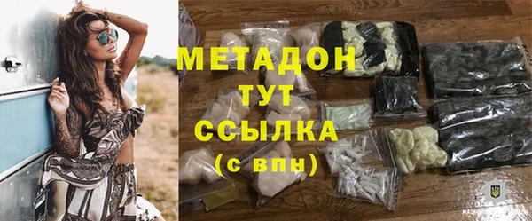 прущие грибы Богданович