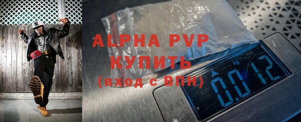 прущие грибы Богданович