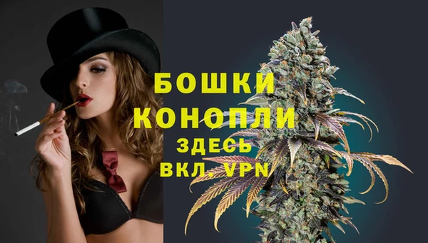 прущие грибы Богданович