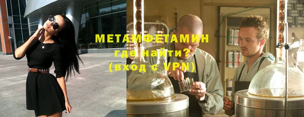 прущие грибы Богданович