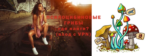 прущие грибы Богданович