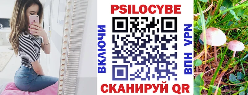 Галлюциногенные грибы Magic Shrooms  Курильск 
